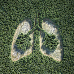 Aerial view of forests, with the shape of a lung inside.