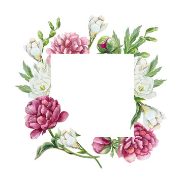 watercolor peonies and freesia floral frame clip art preview