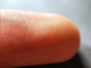 Fingerprint on finger, Close up detail of fingerprint lines on the skin, macro