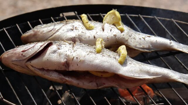 cuisson de deux poissons, dorades au barbecue	