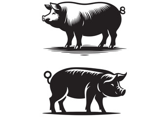 Vector pig silhouette, Pig silhouettes, pig animal silhouette, Vector illustration of black icon logo pig silhouette, farm animal pig silhouette vector logo template illustration design