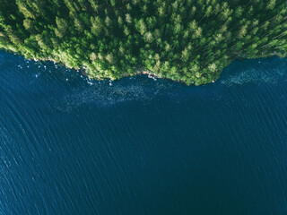 Aerial drone view of blue water lake and green summer woods in Finland.