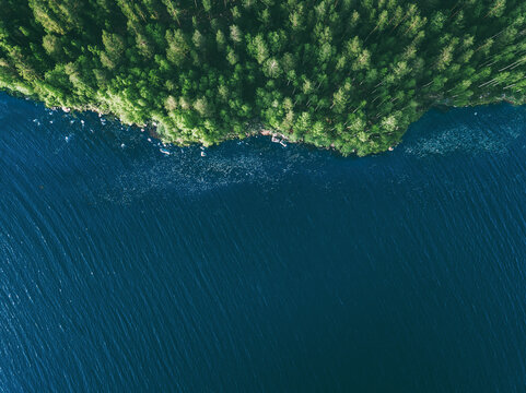 Fototapeta Aerial drone view of blue water lake and green summer woods in Finland.