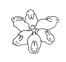 Bunnies Bunnies Funny funny love Heart Fluffy