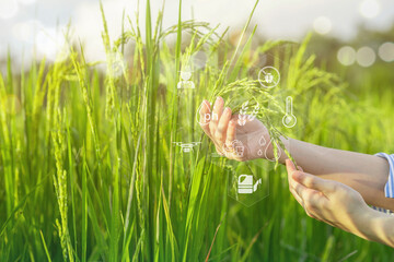 Smart farming uses technology to control planting, caring for harvesting products in the farms of new generation of farmers. Modern agriculture can reduce labor and costs and produce quality products