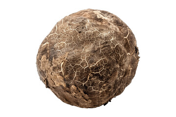 Fototapeta premium Closeup of winter truffle cut in half, showcasing its detailed texture and pattern, isolated on a white background. Concept of gourmet food