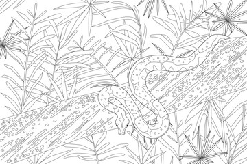 coloring book page for adults and children. snake on tree trunk against leafy tropical forest background