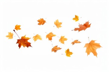 Falling maple leaf photo