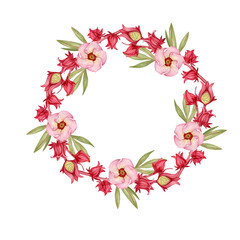 Rosella or Sudanese rose flowers in a round wreath isolated watercolor illustration.