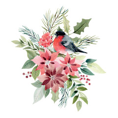 Vector watercolor christmas bouquet with poinsettia and bullfinch. Isolated on white background.