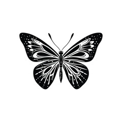 Modern Logo of Butterfly Icon Vector Design Silhouette