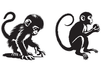 Monkey silhouette vector illustration, monkey animal vector silhouette, monkey silhouette, icon logo, vector illustration of black logo monkey silhouette, monkey icon vector illustration  © Adobe design