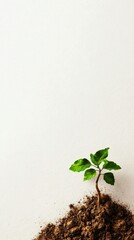Naklejka premium A small green sprout emerges from rich soil, symbolizing growth, renewal, and the beauty of nature in a minimalistic setting.