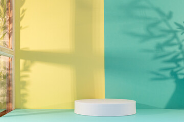 Panorama de fond d'un mur jaune et vert pour création d'arrière plan. Jeu d'ombre et de lumière du soleil à travers une fenêtre avec des branches d'oliviers.	