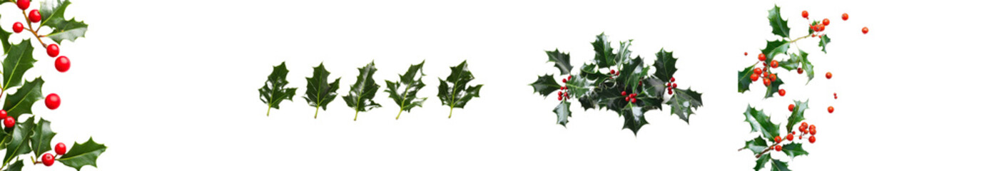 Fototapeta premium An isolated sprig of green holly, three leaves and red berries for Christmas decorations.