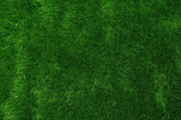 Fototapeta premium A green lawn backgrounds grass plant.
