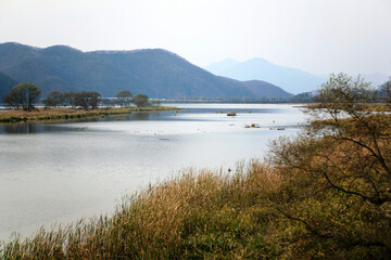 Obraz premium View of the river in autumn