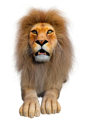3D Rendering Male Lion on White