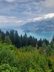 Switzerland landscape