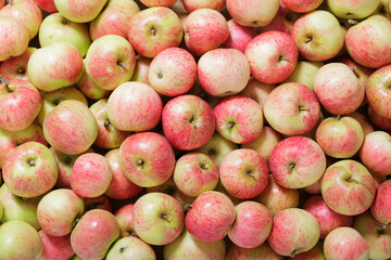 fresh red apples as background, top view