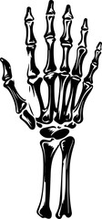 Stylized Illustration of a Human Hand Skeleton
