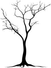 Silhouette of a Leafless Tree on White Background