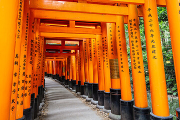 Fushimi Inari Shrine Kyoto Japan