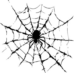 Obraz premium Black Spider on Intricate Web Design