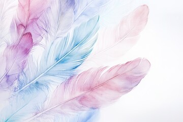 Obraz premium Soft pastel feathers on white background