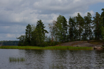 View of the forest beside the river against a cloudy sky