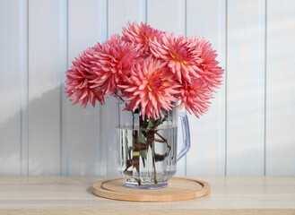 pink cultivated dahlias in a transparent jug on the table in the cottage. rural interior. flowers and a white background. © Masquerade