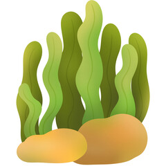 Seaweed hand drawn cartoon © Yamamin
