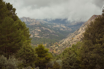 Misty mountain range with dense greenery and rocky cliffs