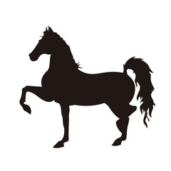 Horse silhouette or coloring vector, Horse illustration