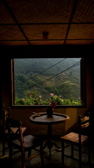 View of the rice terraces from a beautiful cafe 