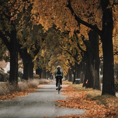 Solitary Bicyclist Riding Along a Tree-Lined Pathway in Autumn