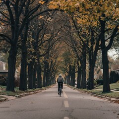 Solitary Bicyclist Riding Along a Leaf-Covered Pathway
