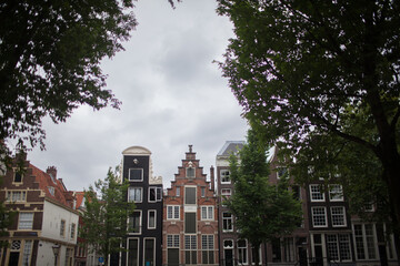 Amsterdam buildings with trees