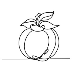 one line drawing mangosteen fruit nature vector illustration template design
