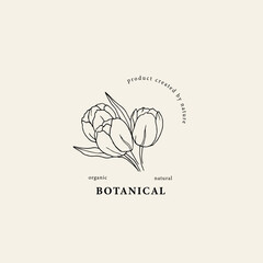 Hand drawn tulips flowers illustration