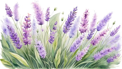 Naklejka premium Serene watercolor frame with lavender flowers and soft green foliage. Creates a calming, peaceful atmosphere, perfect for a relaxing space.