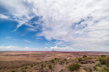 desert landscape in state