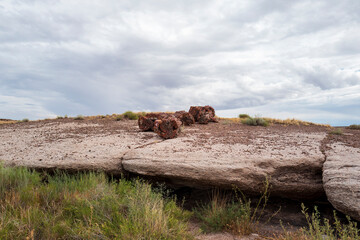 petrified forest national park