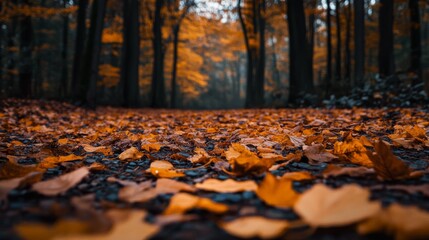The essence of autumn captured in a single moment, leaves transforming the landscape.