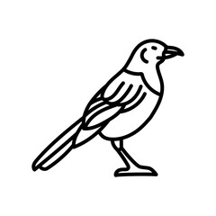Magpie Outline Icon, Vector illustration