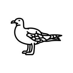 Seagull Outline Icon, Vector illustration