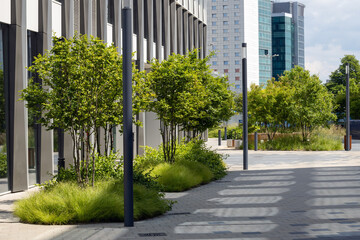 Modern Urban Landscape with Green Trees