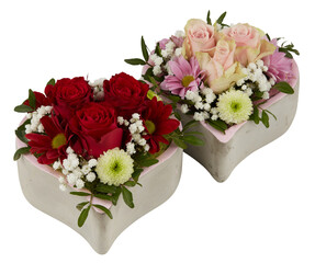 Pink and red roses bloom in a heart box on Valentine's Day
