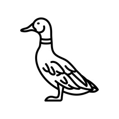 Duck Outline Icon, Vector illustration