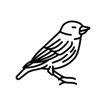 Warbler Outline Icon, Vector illustration